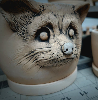 Raccoon Planter Pot