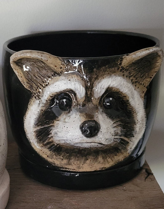 Raccoon Planter Pot