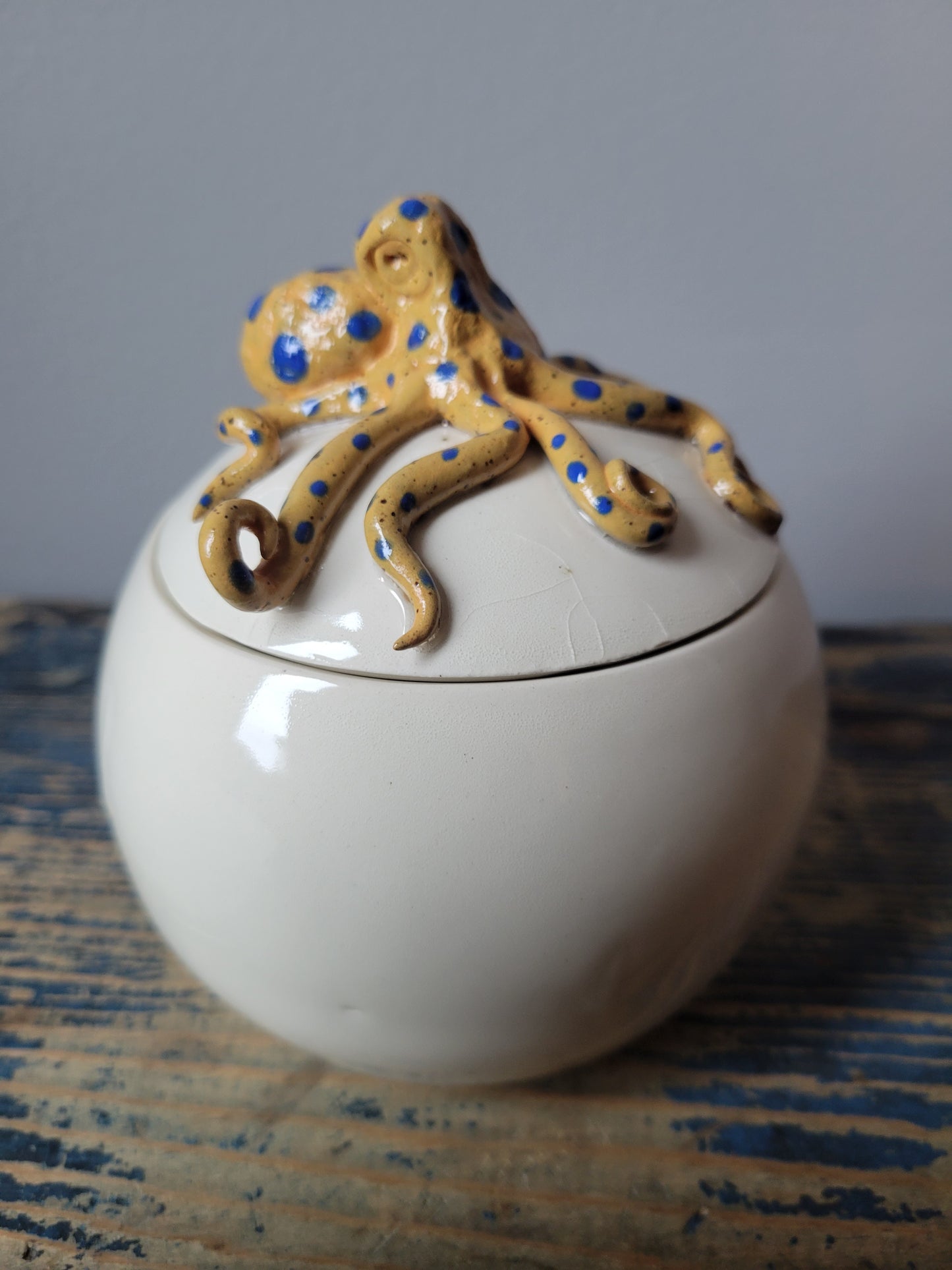 Octopus Jar