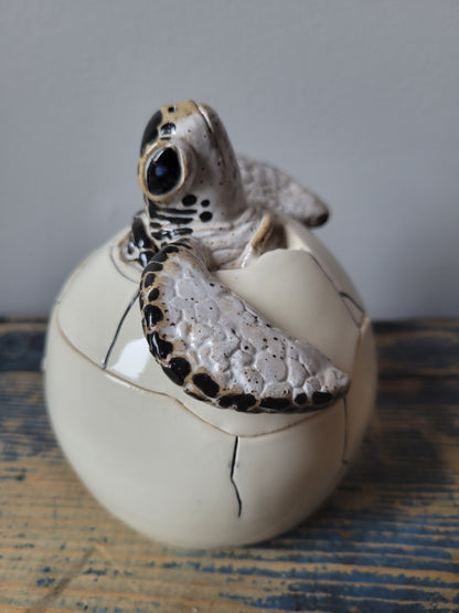 Baby Sea Turtle Jar