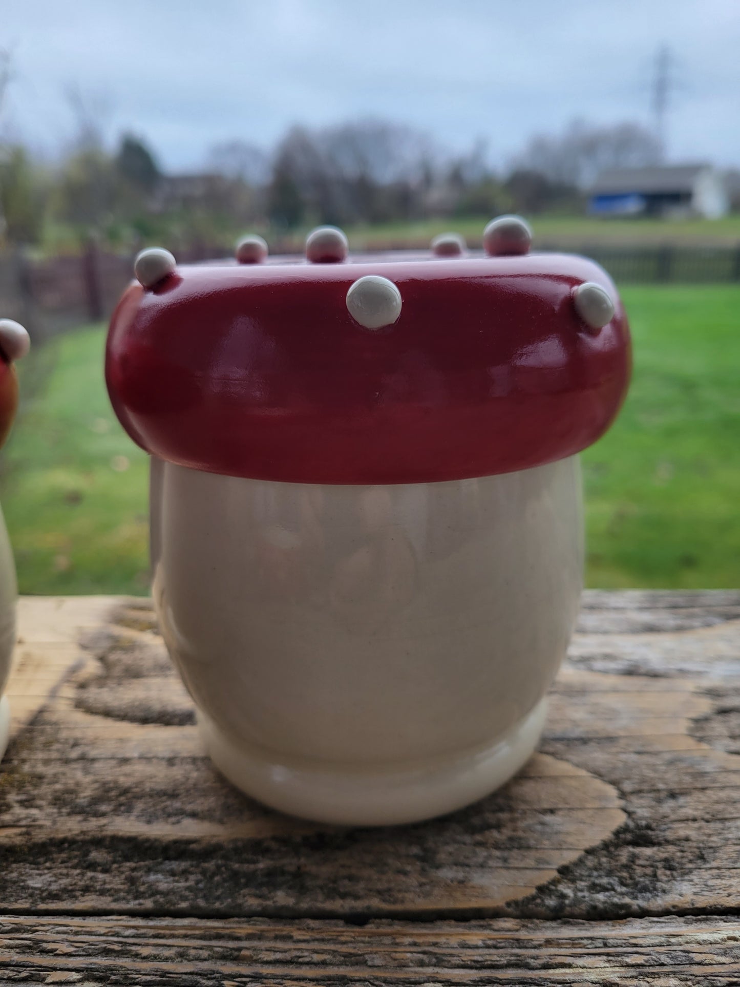 Toadstool Mushroom Jar